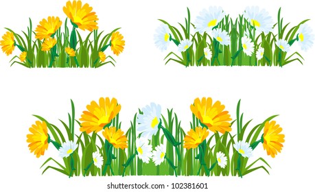 Several groups of flowers and herbs on a white background