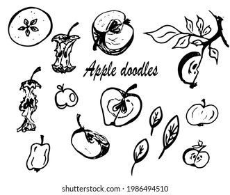 Several hand drawn apple doodles, vector illustration, black lines isolated on white background. Apple, apple cores, leaves, branches, apple pieces.