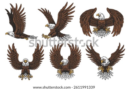 Several illustrations showcase eagles in different postures including flying landing and perched. The detailed designs highlight the majestic features and wings of these birds.