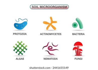 Several Important Microbes Living in Soil: Including Algae, Bacteria, Fungi, Nematodes, Protozoa, and Actinomycetes