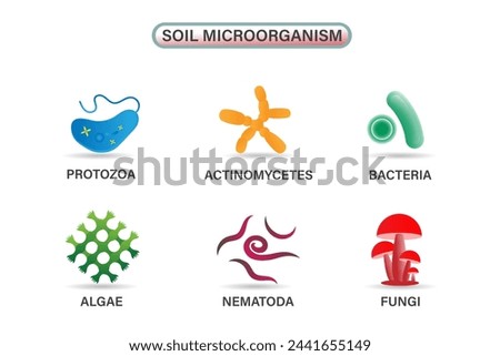 Several Important Microbes Living in Soil: Including Algae, Bacteria, Fungi, Nematodes, Protozoa, and Actinomycetes