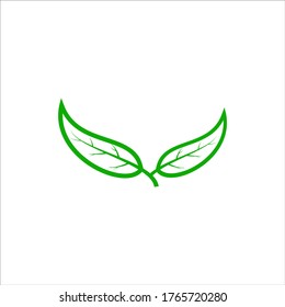 several kinds of elegant leaf logos with flat designs for your business and needs