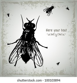 Several large black flies crawls on dirty background. Vector illustration. EPS 8.