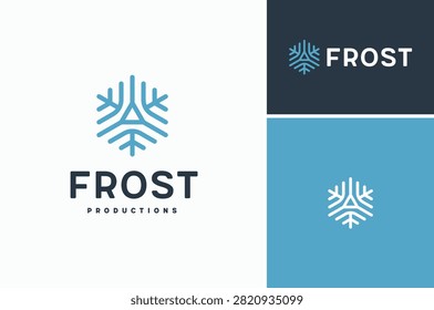 Several Lines with Triangle in the middle like a Snowflake in Hexagon Shape logo design