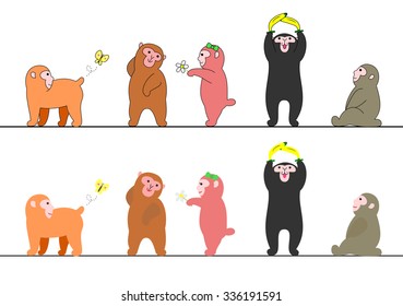 several monkeys set