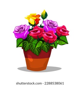 Several multi-colored roses in brown pots.Comes in red, orange, yellow and purple.It has light green leaves alternating with dark green.vector illustration isolated on white background