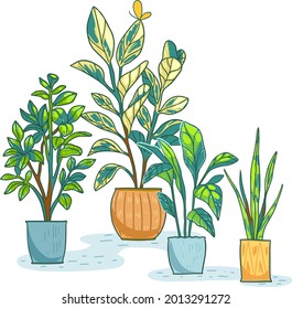 varias plantas están en macetas