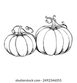 Several Pumpkins Lying Together, Hand-Drawn Vector Illustration