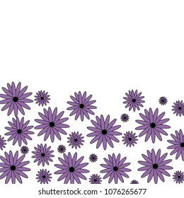 several purple flowers on a light background.