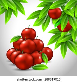 several red apples green leaves white background.