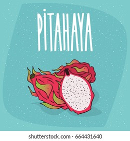 Several ripe pitaya or dragon fruit, whole and beautifully cut into pieces. Visible flesh and seeds. Isolated background. Realistic hand draw style. Lettering Pitahaya. Vector illustration