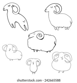 several sketches of sheep