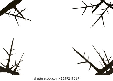 several thorn branches that form a frame without a background