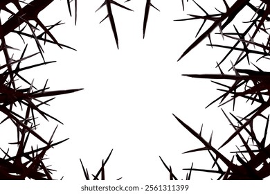 several thorn branches that form a frame without a background