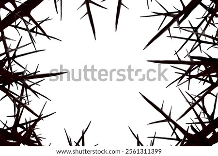 several thorn branches that form a frame without a background