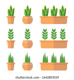Several types of air purifying plants in pots. Vector art of indoor plants.