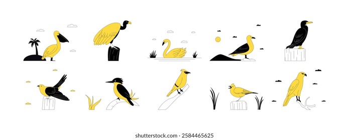 Several types of birds that live around water, some also perch on small branches, animals, poultry, feathered, winged, vector illustration.