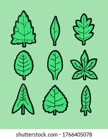 
several types of leaves in a forest vector 