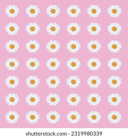 Several white daisy flowers on light pink background