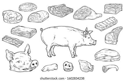 Severed big body parts and meat cuts in colorless hand drawn sketch style - chopped pork steak cut types isolated on white background. Vector illustration.