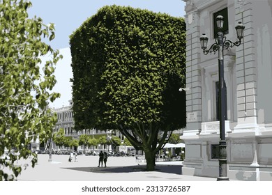 Sevilla, Spain, June 06.2023. Unique green tree in a public square vector illustration