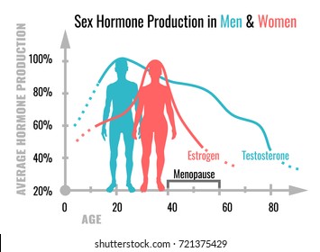 Sex hormone production in men and women. Average percentage from the birth to the age of eighty years. Beautiful vector illustration. Medical infographic useful for educational poster graphic design.
