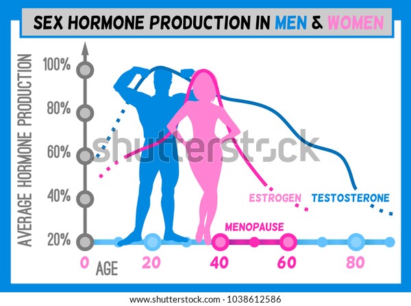Sex Hormone Production Men Women Average Stock Vector Royalty Free 1038612586 