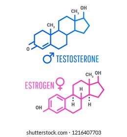 Sex hormones molecular formula: Estrogen and Testosterone Hormones symbol.