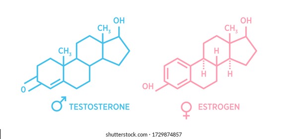 Sex hormones molecular formula: Estrogen and Testosterone Hormones symbol. Stock vector