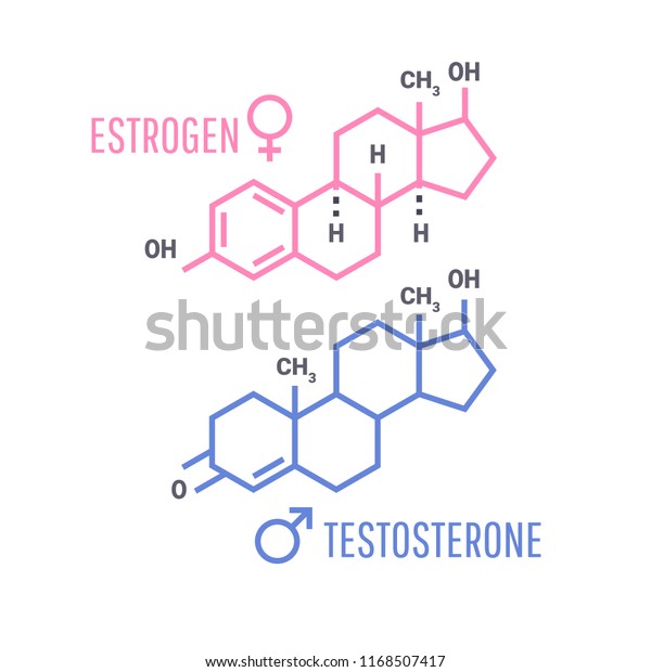 Sex Hormones Molecular Formula Estrogen Testosterone Stock Vector Royalty Free 1168507417 4890