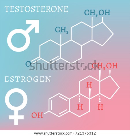 sex and estrogen Spogebob squarepants porn