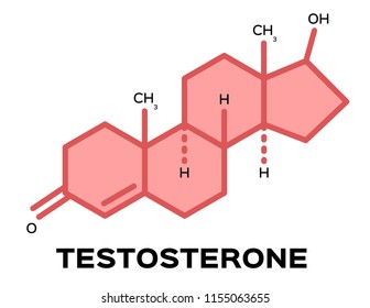 sex hormones , testosterone vector