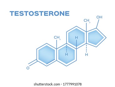 Sex Hormones . Testosterone Vector On White Background