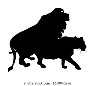 37 Lions Mating Stock Vectors, Images & Vector Art | Shutterstock