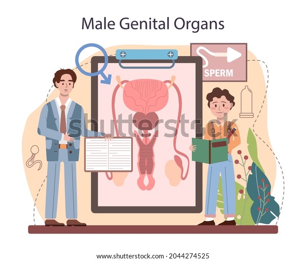Sexual Education Concept Sexual Health Lesson Stock Vector Royalty Free 2044274525 Shutterstock 1592