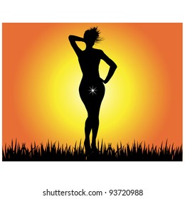 Sexy girl in the sunset.Vector