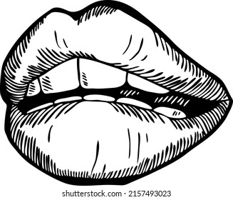 Sexy Lips Emotions. Beautiful Mouth With Red Lipstick. Isolated Fashion  Illustration. Kissing Lips. For Cosmetic Make Up Products. Hand Drawn Retro Vintage Vector Illustration. Old Style Line Drawing