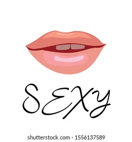sexy pink lips vector illustration