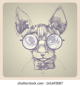 Sfinks cat portrait. Hand drawn vector illustration. Can be used separately from your design.