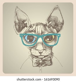 Sfinks cat portrait. Hand drawn vector illustration. Can be used separately from your design.