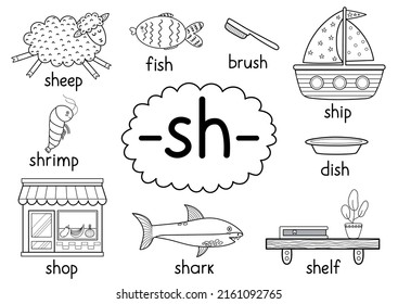 Sh digraph spelling rule black and white educational poster for kids with words. Learning -sh- phonics for school and preschool. Phonetic worksheet. Vector illustration