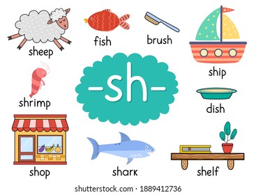 Sh Digraph With Words Educational Poster For Kids. Learning Phonics For School And Preschool. Phonetic Worksheet. Vector Illustration