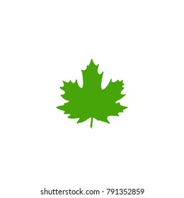 Shabby green maple leaf with little stem.  Vector icon. Isolated on white. Nature single leaf silhouette. vector symbol. Clip art. 