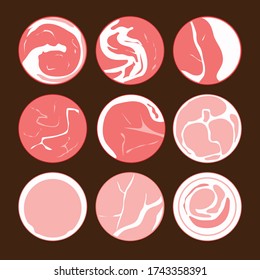Shabu shabu round sliced meat; beef and pork. Japanese traditional meal; Sukiyaki main ingredient. Japan restaurant product vector illustration flat cartoon drawing