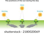 The shade of the tree changes according to the position of the sun during the day - sun rises in the east and sets in the west as the direction of the sun changes the shape of the shadow will change