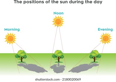 The shade of the tree changes according to the position of the sun during the day - sun rises in the east and sets in the west as the direction of the sun changes the shape of the shadow will change