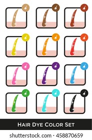 Shades of Different Color Hair Styling from Dye/ Editable Clip Art.