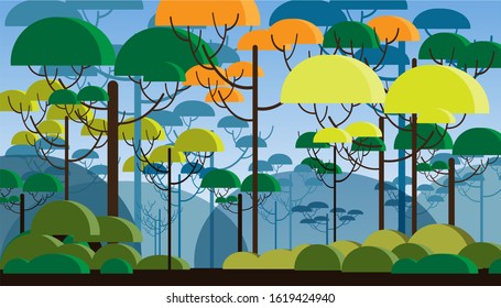 Shades of the state of the forest with towering trees, shrubs that are still beautiful. Forest beauty