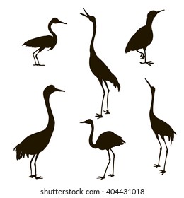 shadoofs, vector set of hand drawn birds silhouettes,  isolated natural elements