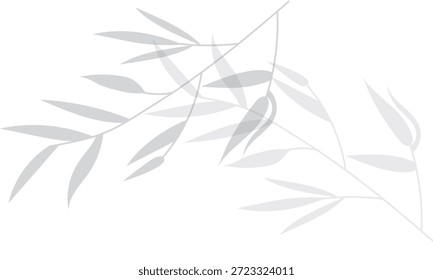 Sombra de una rama de bambú con hojas de Vector para la decoración abstracta, patrón de verano, diseño orgánico de la naturaleza . 